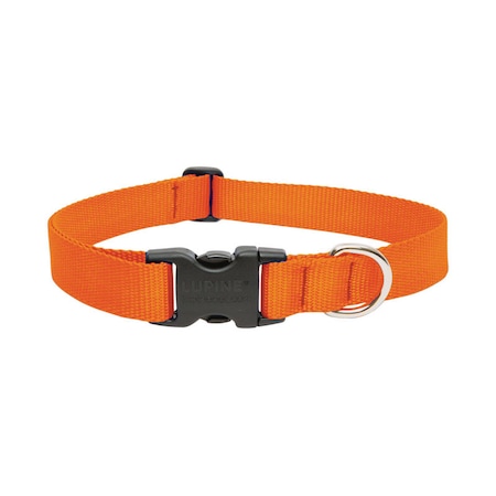 Lupine LupinePet Basic Solids Blaze Orange Blaze Orange Nylon Dog Adjustable Collar 52552